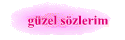 gzel szlerim